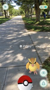 Jon Brock | Student captures Pidgey on campus.